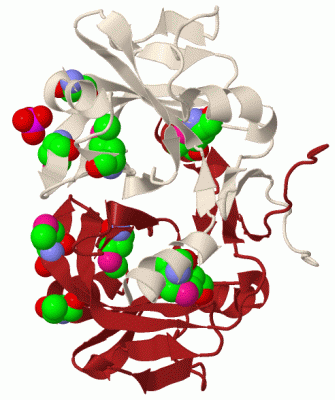 Image Biol.Unit 1 - manually