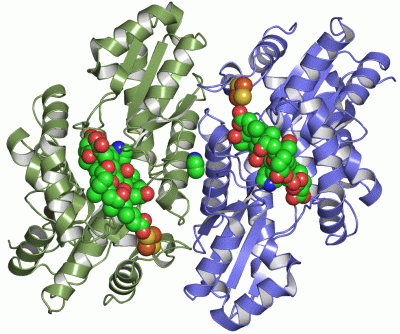 Image Asym./Biol. Unit - manually