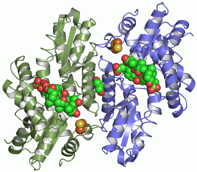 Image Asym./Biol. Unit - manually