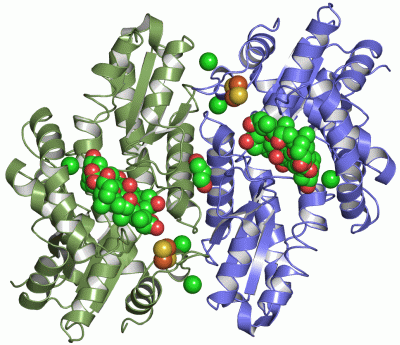 Image Asym./Biol. Unit - manually