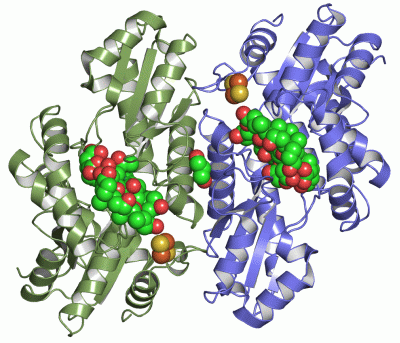 Image Asym./Biol. Unit - manually