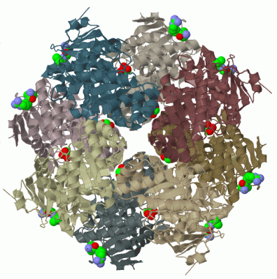 Image Biol.Unit 1 - manually