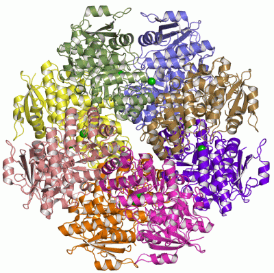 Image Asym./Biol. Unit - manually