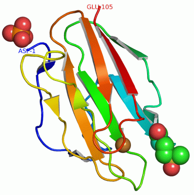 Image Asym./Biol. Unit - manually