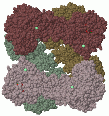 Image Biol.Unit 1 - manually