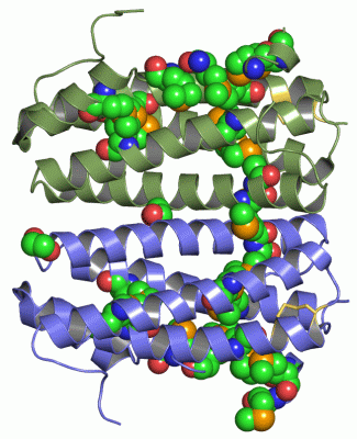 Image Asym./Biol. Unit - manually