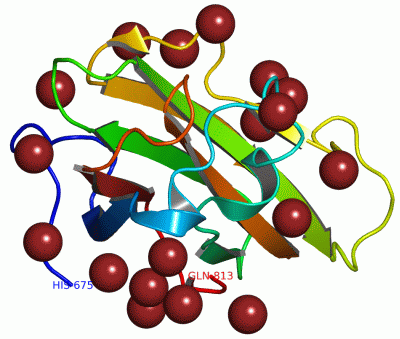 Image Asym./Biol. Unit - manually