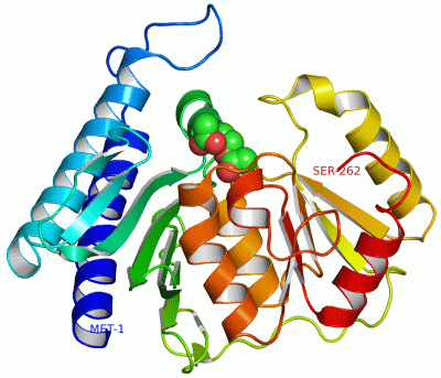 Image Asym./Biol. Unit - manually