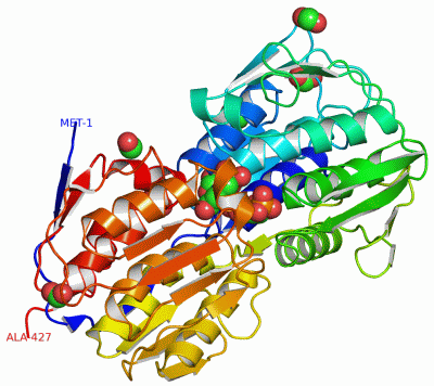 Image Asym./Biol. Unit - manually