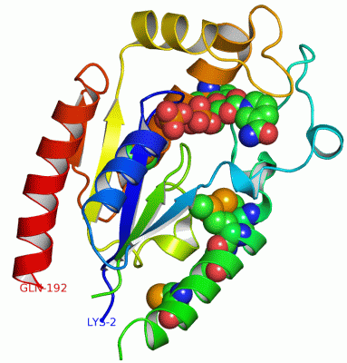 Image Asym./Biol. Unit - manually