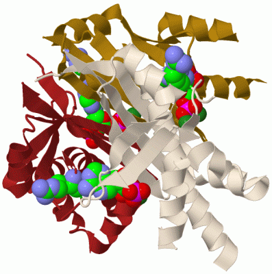 Image Biol.Unit 1 - manually