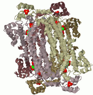 Image Biol.Unit 1 - manually