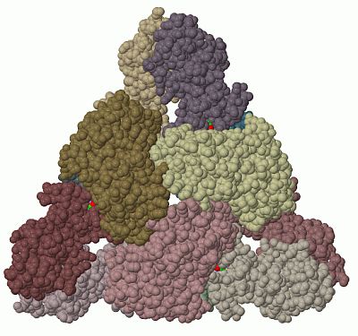 Image Biol.Unit 1 - manually