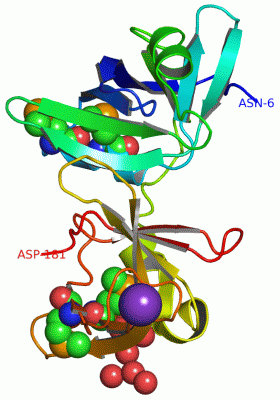 Image Asym./Biol. Unit - manually