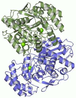 Image Asym./Biol. Unit - manually