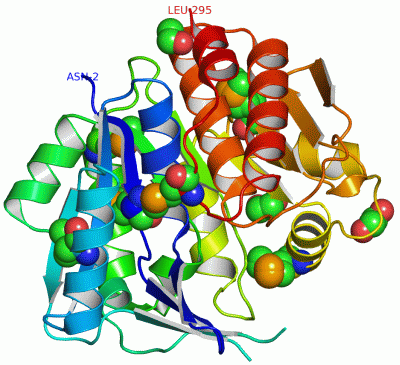 Image Asym./Biol. Unit - manually