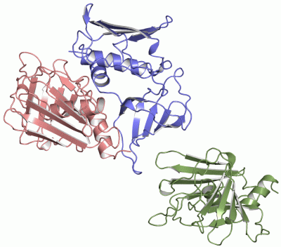 Image Asym.Unit - manually