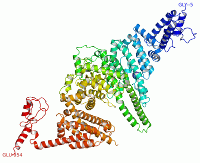 Image Asym./Biol. Unit - manually
