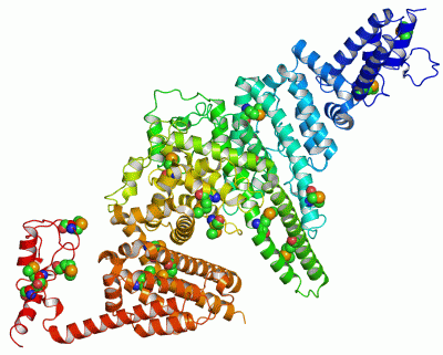 Image Asym./Biol. Unit - manually