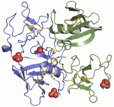 Image Asym./Biol. Unit - manually