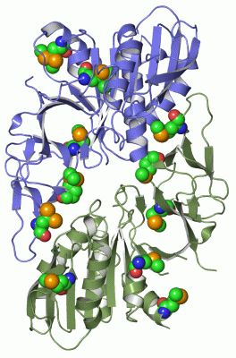 Image Asym./Biol. Unit - manually