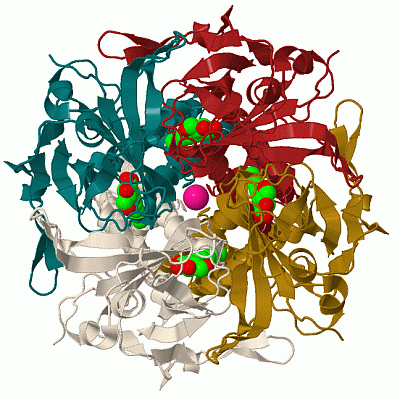 Image Biol.Unit 1 - manually