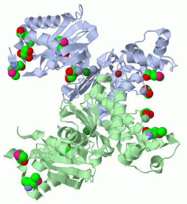 Image Biol.Unit 1 - manually