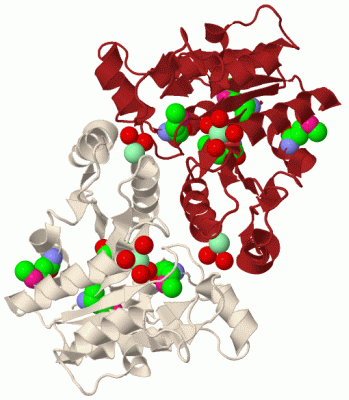 Image Biol.Unit 1 - manually