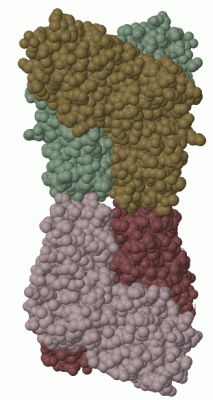 Image Biol.Unit 1 - manually