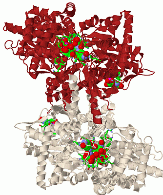 Image Biol.Unit 1 - manually