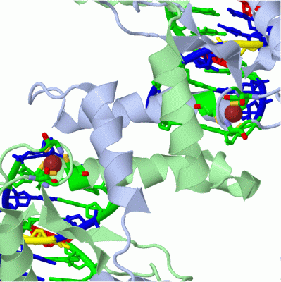 Image Asym./Biol. Unit - manually