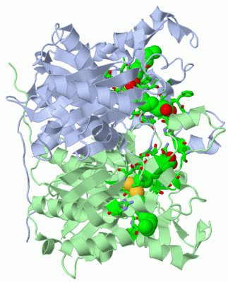 Image Asym./Biol. Unit - manually