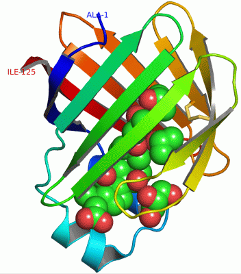 Image Asym./Biol. Unit - manually