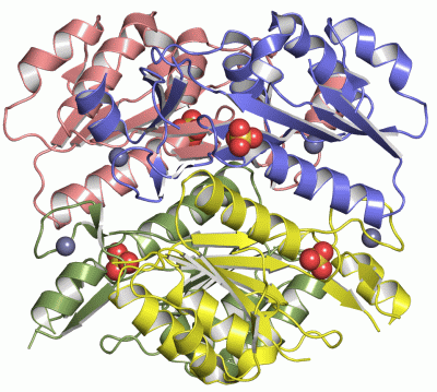 Image Asym./Biol. Unit - manually
