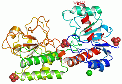 Image Asym./Biol. Unit - manually