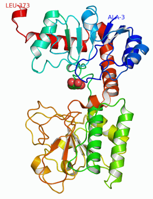 Image Asym./Biol. Unit - manually