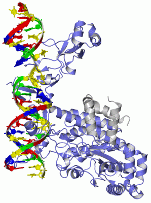 Image Asym./Biol. Unit - manually