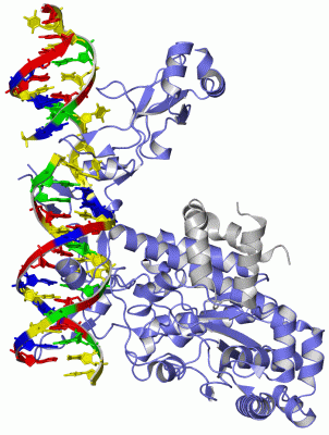 Image Asym./Biol. Unit - manually