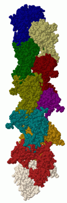 Image Biol.Unit 1 - manually