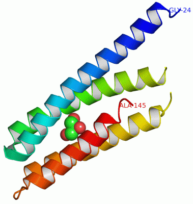 Image Asym./Biol. Unit - manually