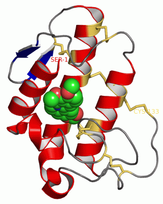 Image Asym./Biol. Unit - manually