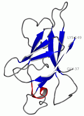 Image Asym./Biol. Unit - manually