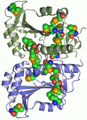 Image Asym./Biol. Unit - manually