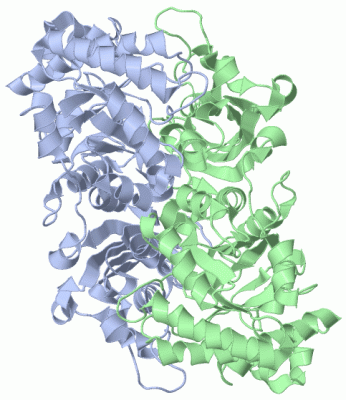 Image Biol.Unit 1 - manually