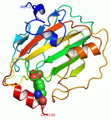 Image Asym./Biol. Unit - manually