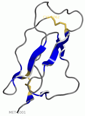 Image Asym./Biol. Unit - manually