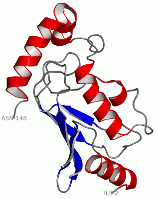 Image Asym./Biol. Unit - manually