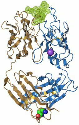 Image Asym./Biol. Unit - manually