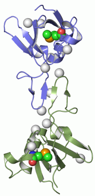 Image Asym./Biol. Unit - manually