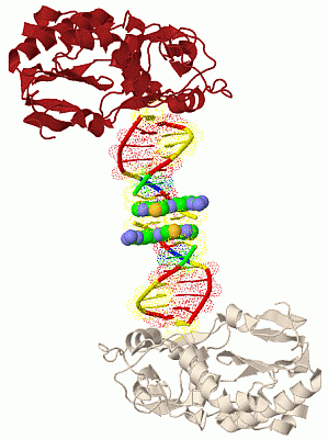 Image Biol.Unit 1 - manually